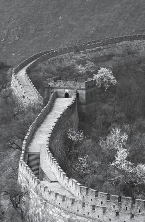 Лариса Соловьева - Дао голоса. Голос как ваш инструмент