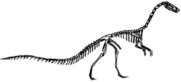 Дугал Диксон - Новые динозавры. Альтернативная эволюция