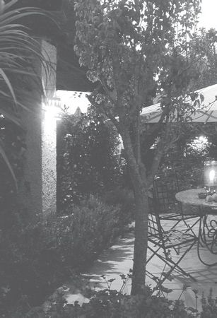 Юрий Харчук - Современный справочник фермера и садовода