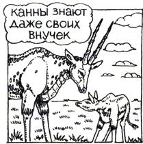 Владислав Хлебович - Пока еще не домашние