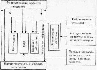 Александр Уголев - Теория адекватного питания и трофология
