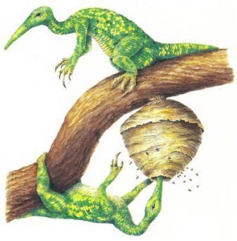 Дугал Диксон - Новые динозавры. Альтернативная эволюция