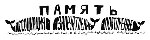 Разблокируй свою память: запомни все!
