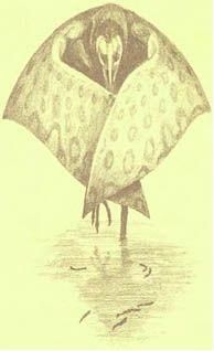 Дугал Диксон - Новые динозавры. Альтернативная эволюция