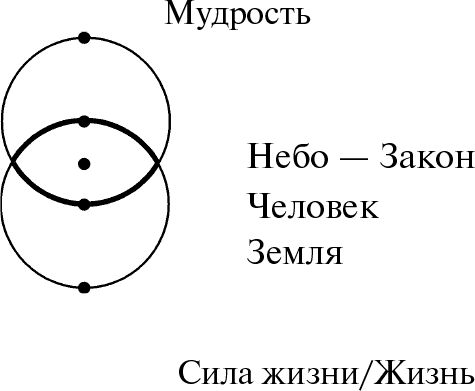 Владимир Жикаренцев - Превращение в Любовь. Том 2. Пути небесные