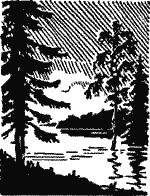 Юлий Анненков - Флаг миноносца