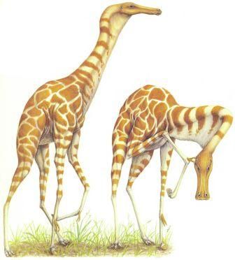 Дугал Диксон - Новые динозавры. Альтернативная эволюция