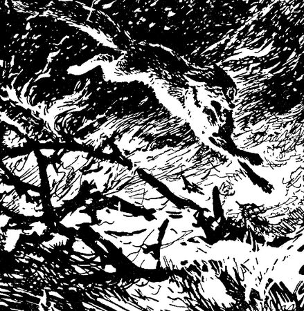 Владимир Арсеньев - Встречи в тайге