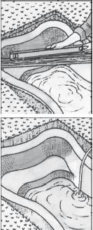 Юрий Харчук - Современный справочник фермера и садовода
