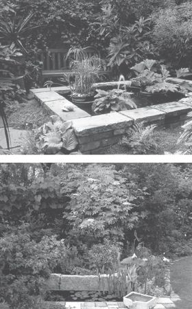 Юрий Харчук - Современный справочник фермера и садовода