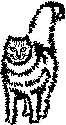 Валентина Журавлева - Снежный мост над пропастью (сборник)