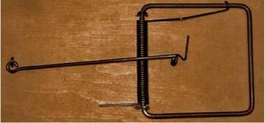 Анатолий Гуревич - Москва в начале ХХ века. Заметки современника