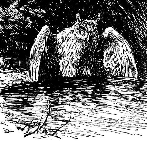 Владимир Арсеньев - Встречи в тайге