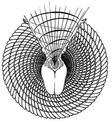 Роман Доля - Убивающий время. Практика разрушения подсознания
