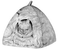 Дарья НЕСТЕРОВА - Кошки - Сфинксы