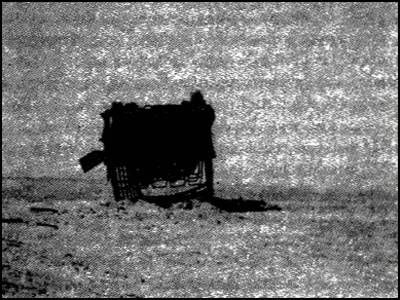 Эрих фон Деникен - Глаза Сфинкса