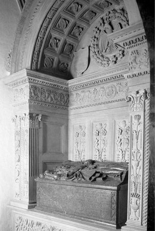 Марина Дмитриева - Италия в Сарматии. Пути Ренессанса в Восточной Европе