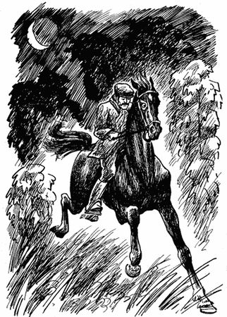 Анна Сьюэлл - Черный Красавчик