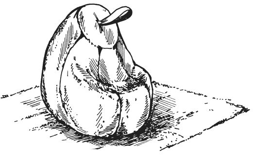 Татьяна Ивановская - Шьем мягкие игрушки, подушки и кресла-мешки