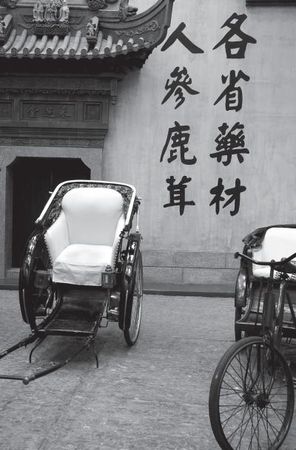 Лариса Соловьева - Дао голоса. Голос как ваш инструмент