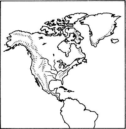 Дугал Диксон - Новые динозавры. Альтернативная эволюция
