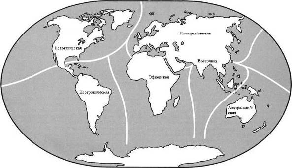 Дугал Диксон - Новые динозавры. Альтернативная эволюция