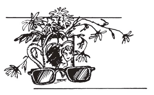 Сью Таунсенд - Признания Адриана Моула