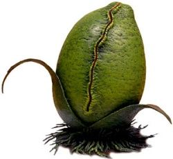 коллектив авторов - WH40K Флафф Библия Ксеносов