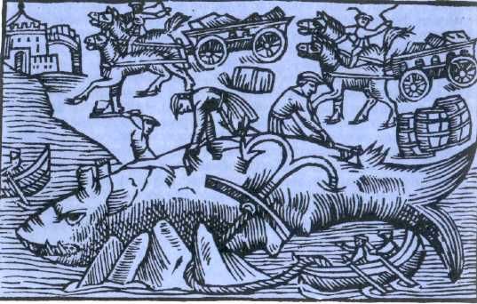 Жак-Ив Кусто, Филипп Диоле - Могучий властелин морей