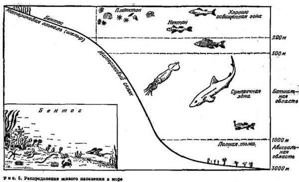 Георгий Войткевич - Возникновение и развитие жизни на Земле