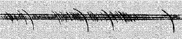 Расширяя границы Вселенной: история...