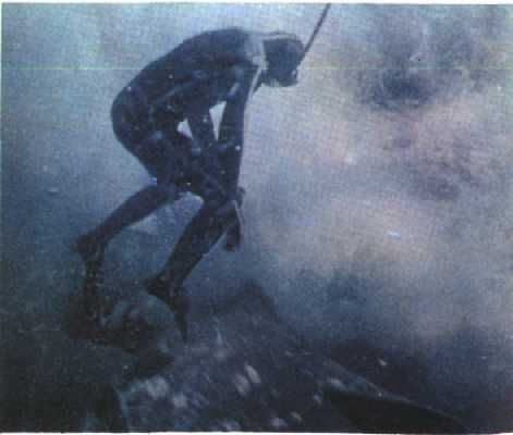 Жак-Ив Кусто, Филипп Диоле - Могучий властелин морей