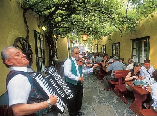 Эвелин Штриглер - Вена. Путеводитель