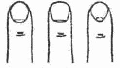 Покажи мне свою сумочку - и я скажу,...