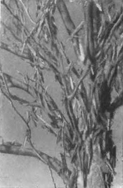 Иржи Ганзелка, Мирослав Зикмунд - Там, за рекою, - Аргентина