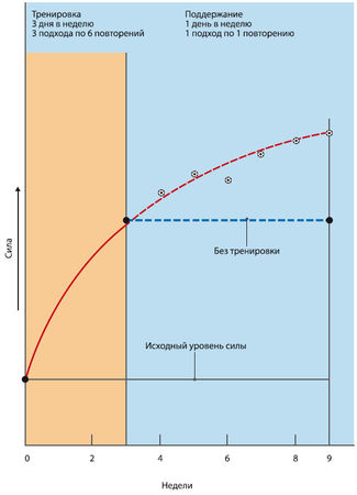 Вячеслав Шляхтов, Руслан Городничев - Физиология силы