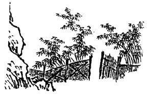 Джон Портер - Дао "Звездных войн"