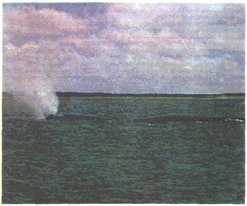 Жак-Ив Кусто, Филипп Диоле - Могучий властелин морей