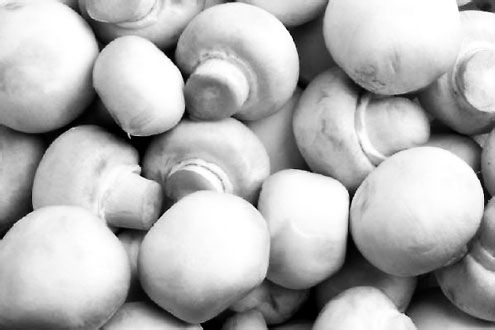 Николай Курчанов - Антропология и концепции биологии