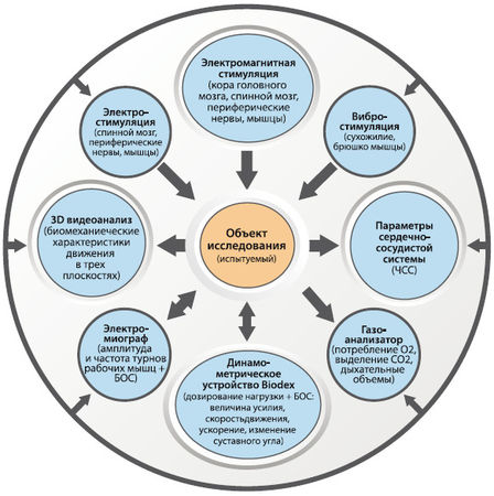 Вячеслав Шляхтов, Руслан Городничев - Физиология силы