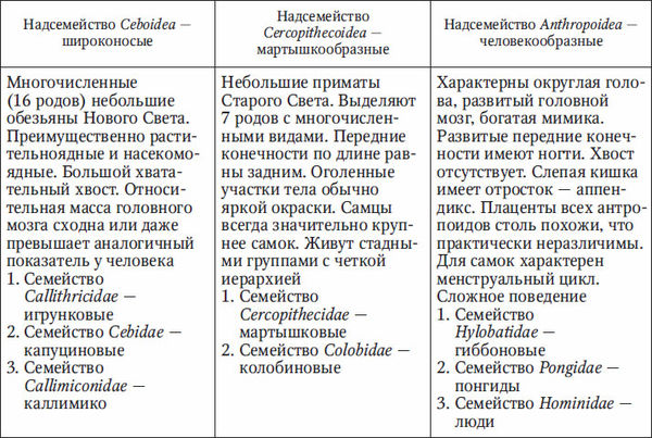 Николай Курчанов - Антропология и концепции биологии