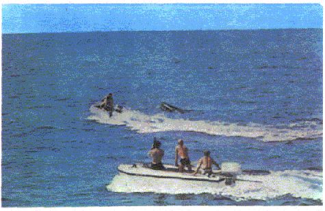 Жак-Ив Кусто, Филипп Диоле - Могучий властелин морей