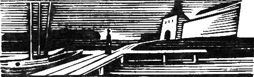 З. Фазин - За великое дело любви