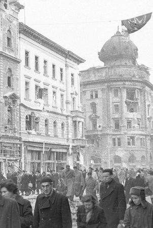 Анна Чайковская - Триумф красной герани. Книга о Будапеште