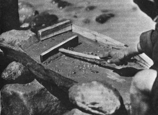 Мишель Пессель - Золото муравьев