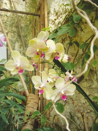 Олёна Ростова - По осколкам