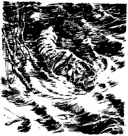 Жозеф Рони-старший - Борьба за огонь. Пещерный лев