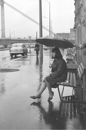 Анна Чайковская - Триумф красной герани. Книга о Будапеште