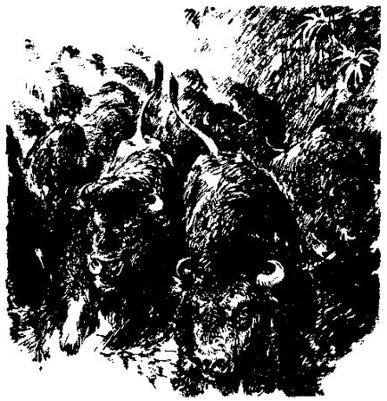 Жозеф Рони-старший - Борьба за огонь. Пещерный лев