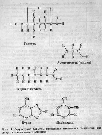 Георгий Войткевич - Возникновение и развитие жизни на Земле